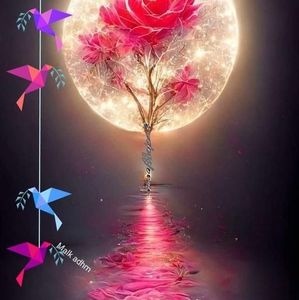 Meet your Posher, Bobbie